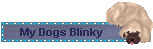 blinkymydogs.gif