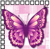 purplebutterflyblink.gif